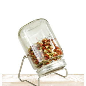Deluxe Glass SPROUTING JAR - 1x1ltr + Stand